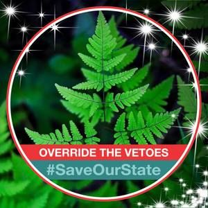 Meet your Posher, Patty